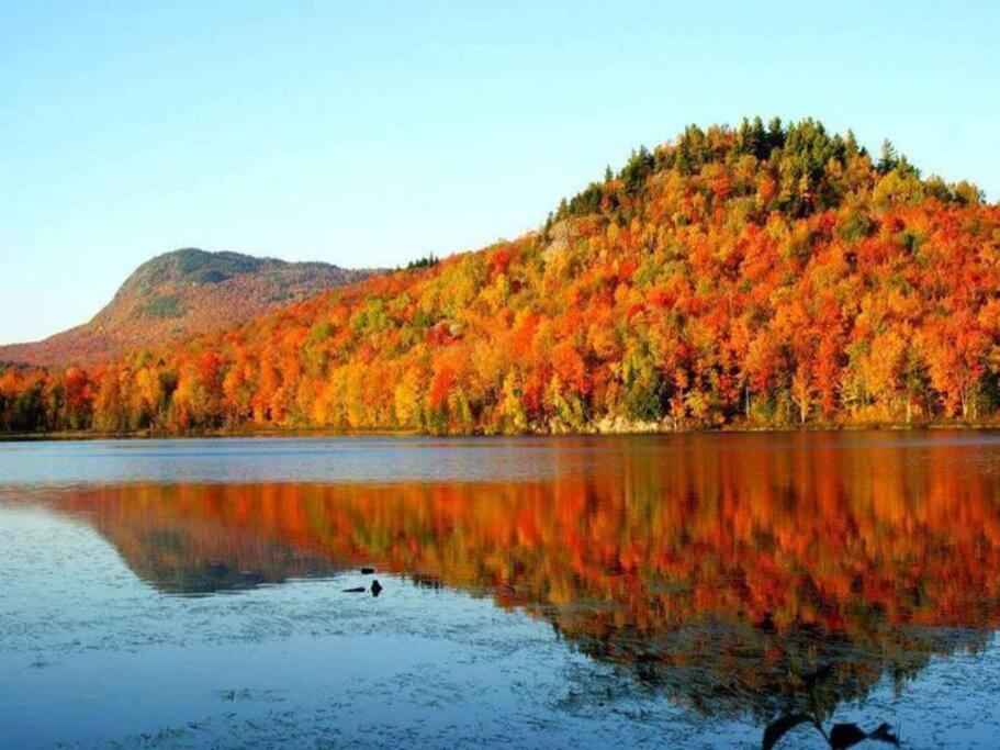 *Nouveaute* Foyer Au Bois, Plage, Montagne Et + Magog Exteriör bild