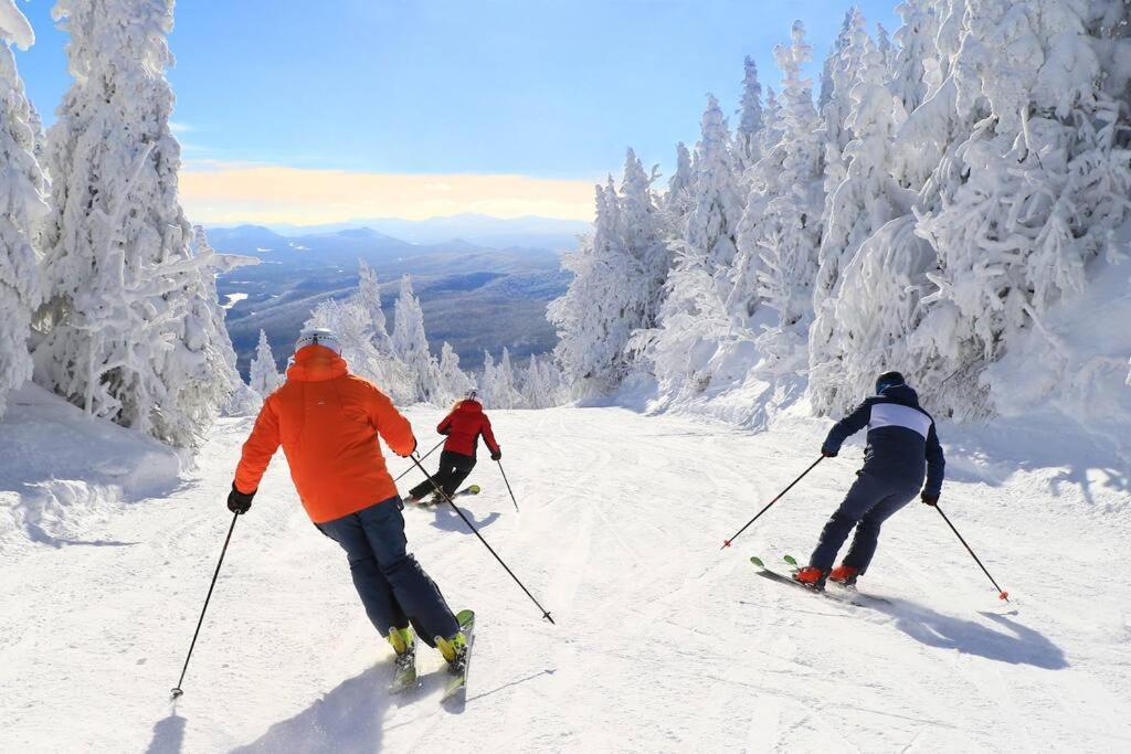 *Nouveaute* Foyer Au Bois, Plage, Montagne Et + Magog Exteriör bild
